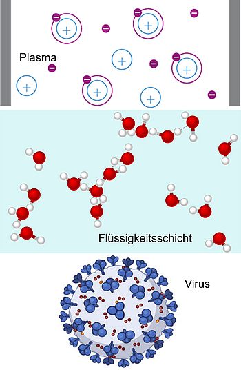 Virus auf verschiedenen Ebenen dargestellt