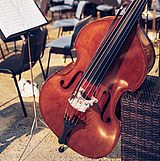 Kontrabass und andere Musikinstrumente