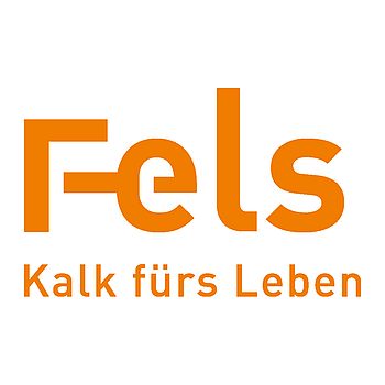 FELS Logo